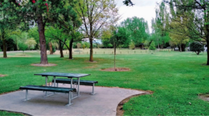 Picnic table in a spacious grassy park surrounded by mature trees at Rangiora park.